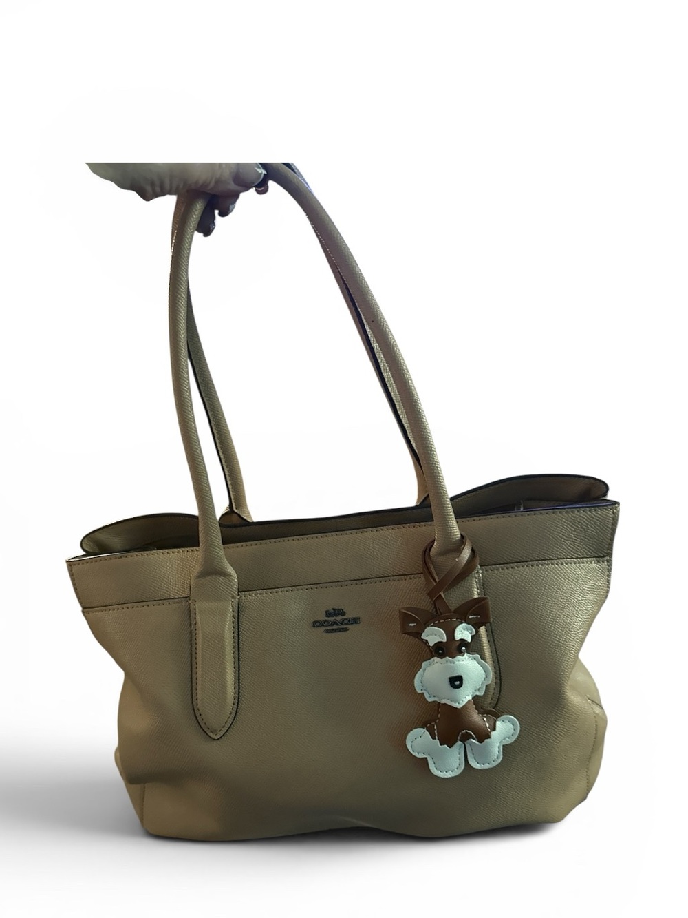 Coach Leather Tote Bag in Taupe with Dog Charm, 2018